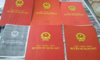 Chính sách cấp sổ đỏ sắp tới sẽ thông thoáng hơn