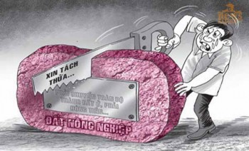 Quy định về diện tích khi tách thửa đất ở tại TP HCM