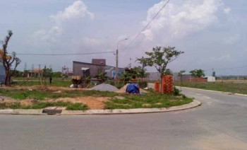 Bình Dương xử lý nghiêm việc phân lô tách thửa trái phép